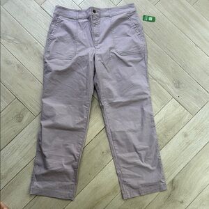 GAP Purple Chinos Relaxed Fit Cotton Blend